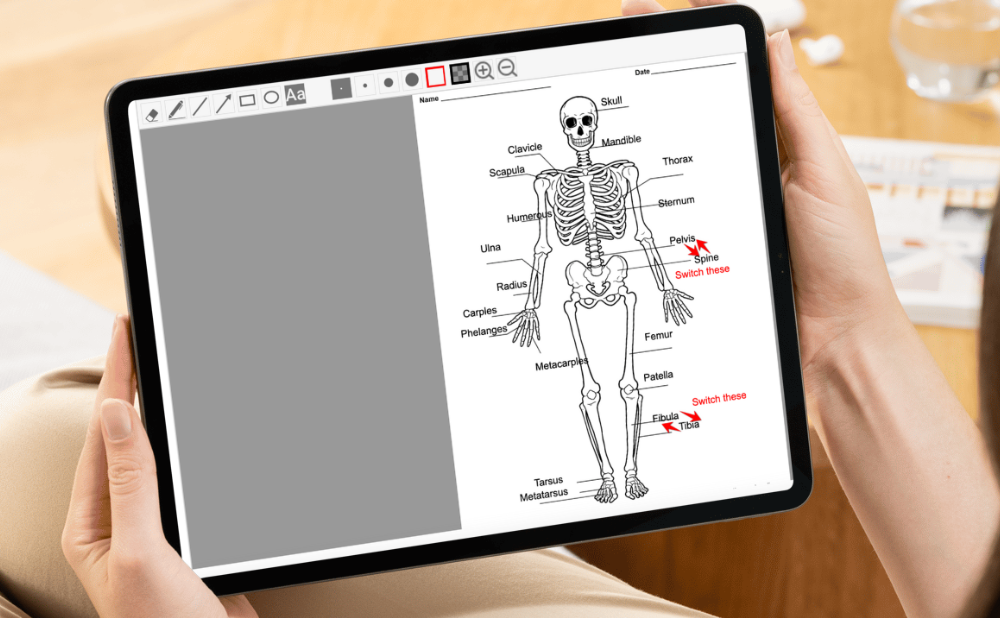 Qwickly Launches Enhanced Instructor Feedback in Qwickly Jot for 2025